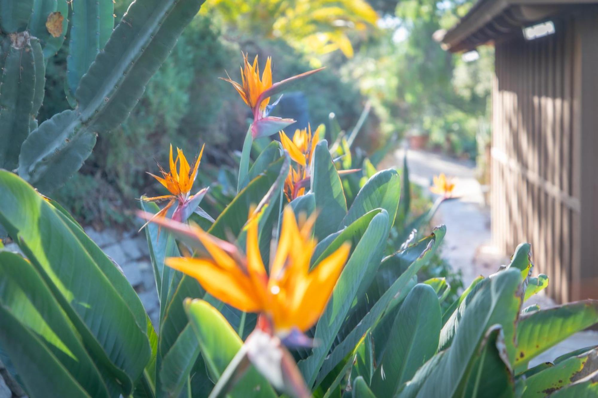 Nature Focused Villa Designed For Wellness Fallbrook Dış mekan fotoğraf